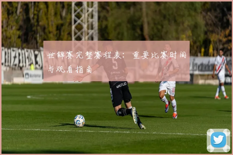 世锦赛完整赛程表：重要比赛时间与观看指南