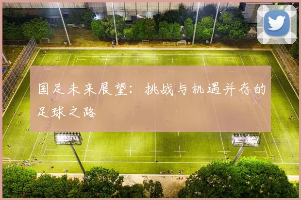 国足未来展望：挑战与机遇并存的足球之路
